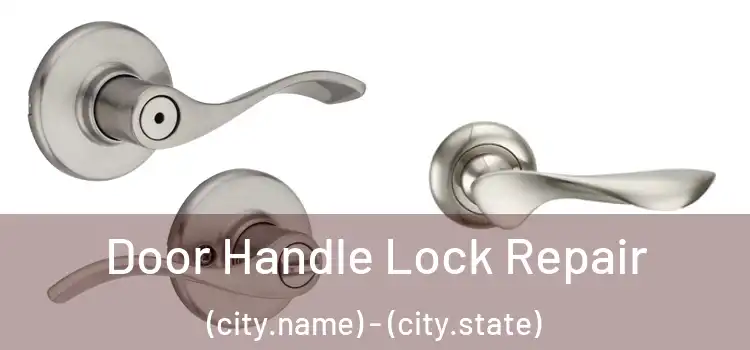 Door Handle Lock Repair (city.name) - (city.state)